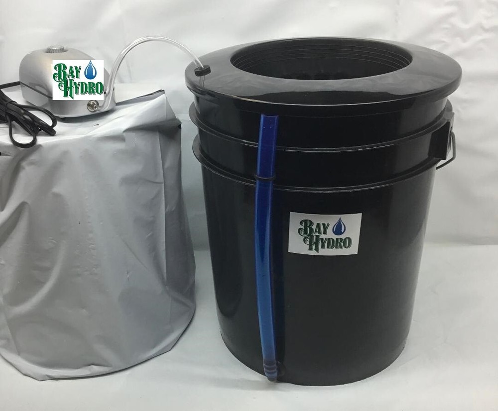 Bay Hydro Single Site DWC Bucket System Spa Roots