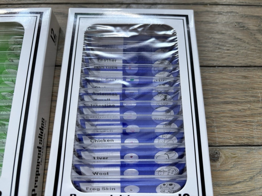 Specimen Prepared Slides For Kids Microscope Science Extra Slides