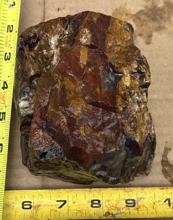 Silver Creek Junction Petrified Wood