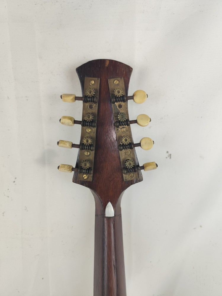 Mandolin 4/4 Francesco Solomone 1905 Naples 曼陀林 만돌린マンドリン