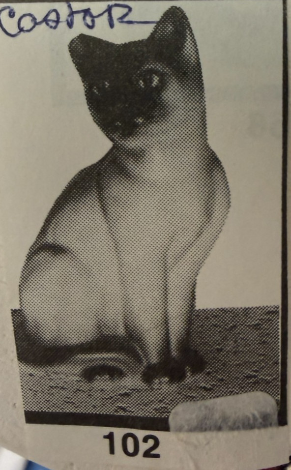 VINTAGE CASTER CERAMIC MOLD #102 SIAM CAT
