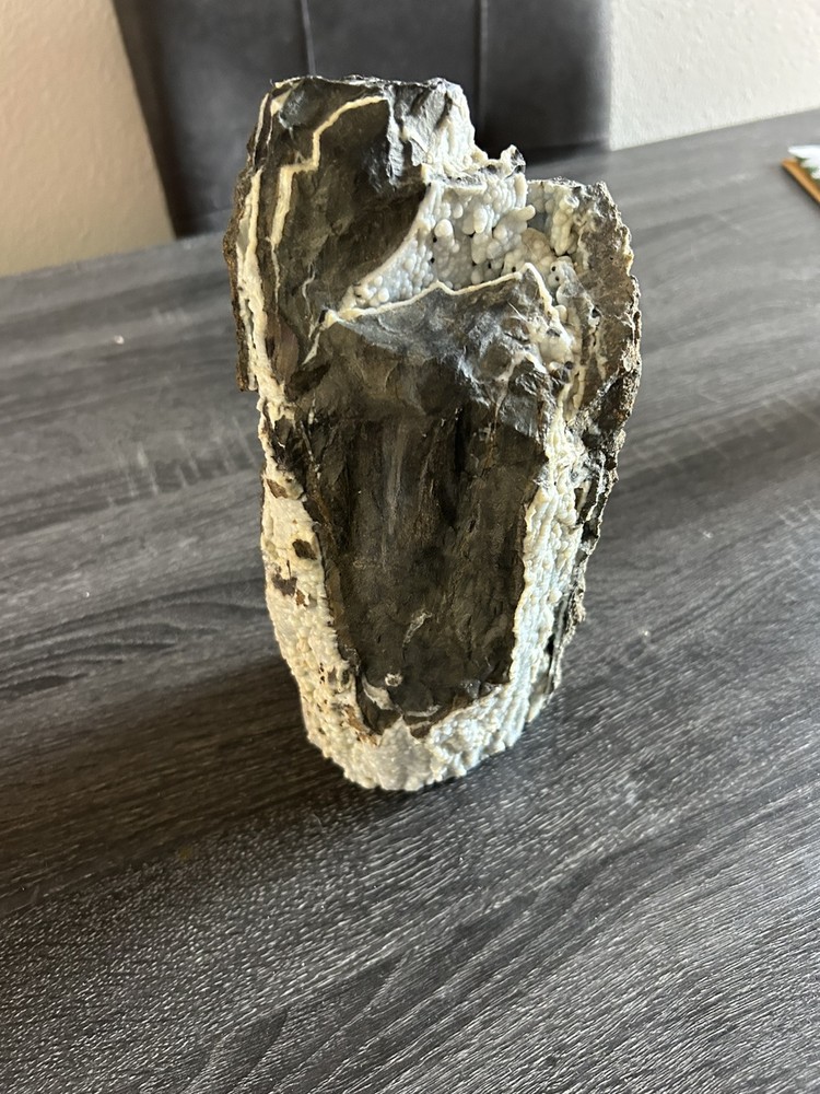 PETRIFIED LOG WITH BLUE LACE AGATE