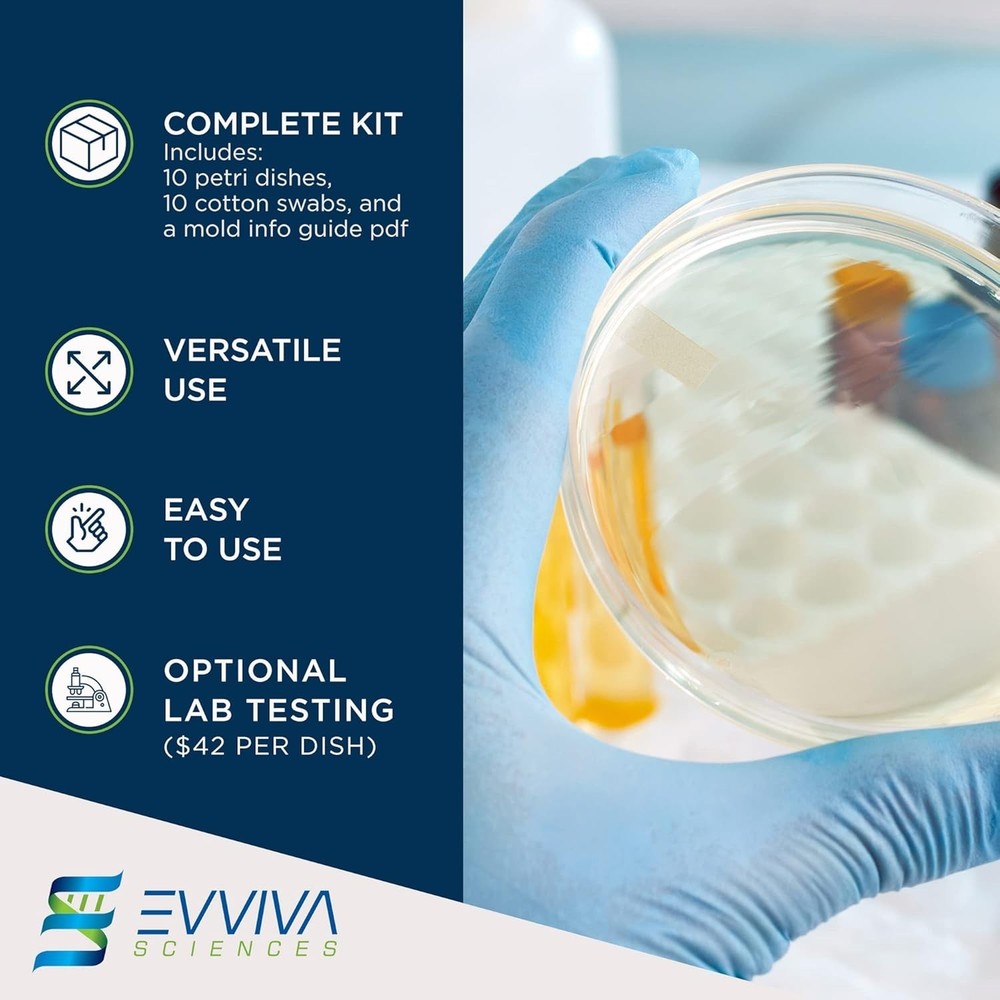 Indoor Mold Kit: 10 Easy Detection Tests + Comprehensive Information Guide