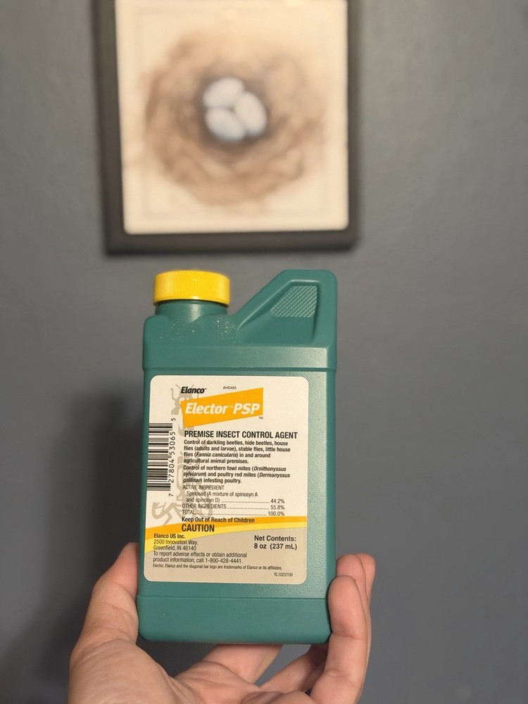 To Spray Or Dip Chickens With For Bugs