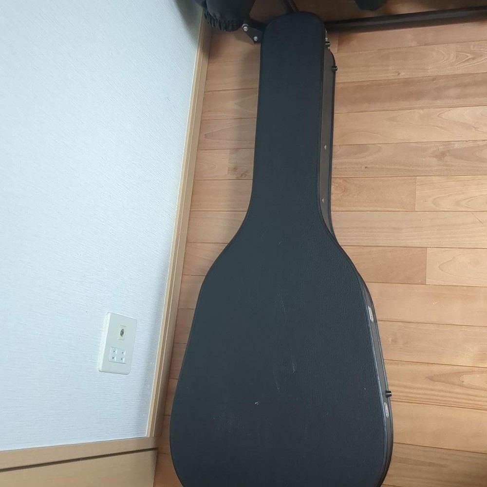 YAMAHA FG-252 with Case