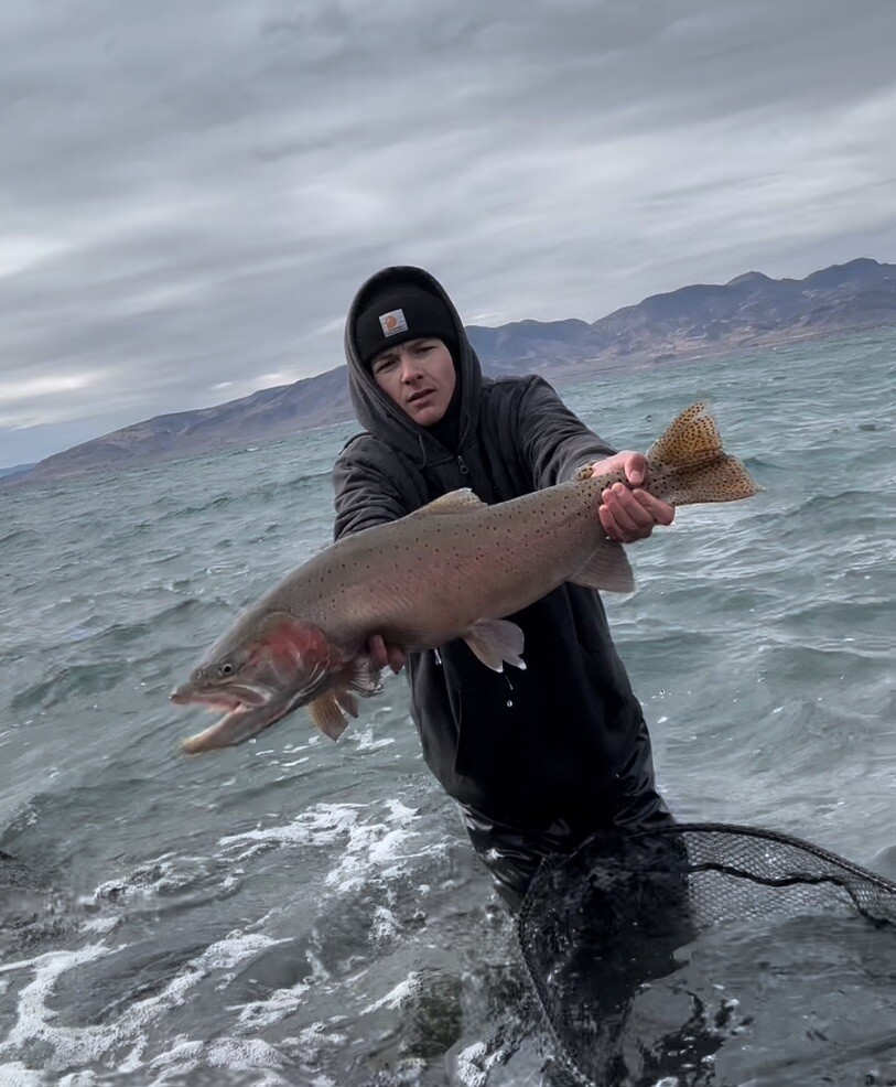 Pyramid Lake Chironomid Pack- 10 Flies
