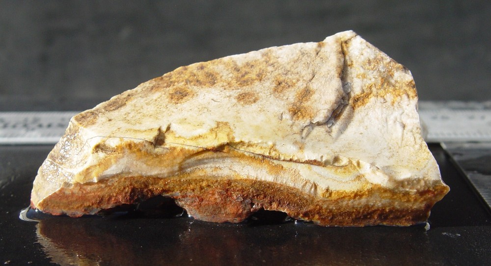 Lace Agate Small Lapidary Rough 1476