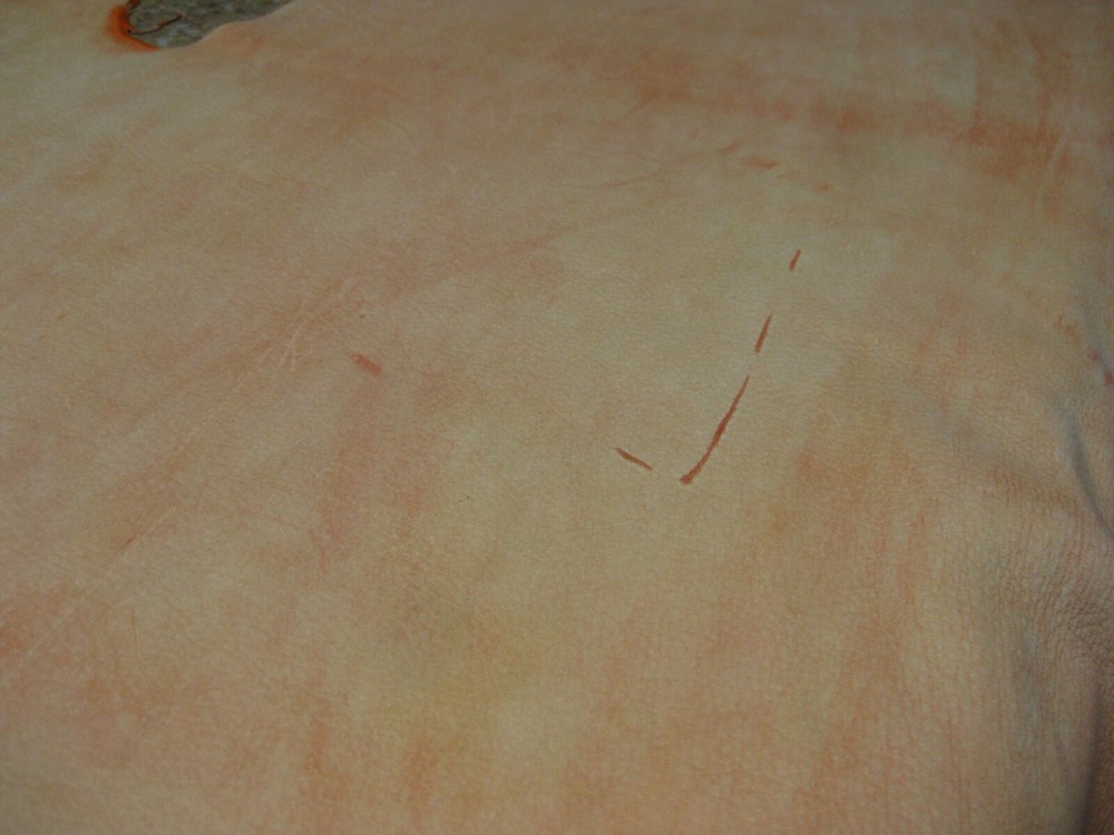 Buffed Deer Leather #0013061 Row 111