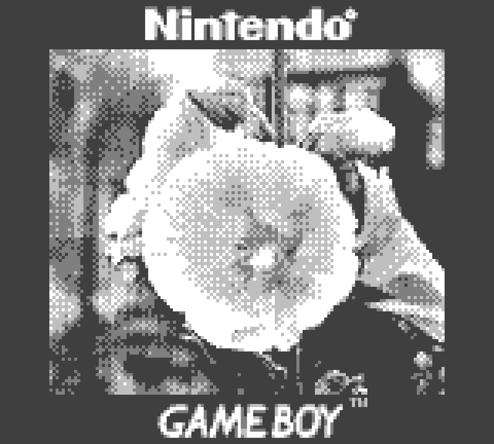 Nintendo GameBoy Camera Photo Save Adapter - No Modifications Needed!