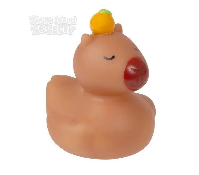 2" Capybara Rubber Ducks - 12 Piece Assortment