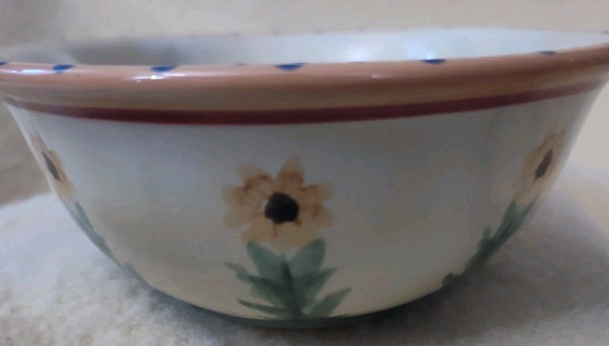 Pfaltzgraff Pistoulet J. Koplen Divided Vegetable Dish