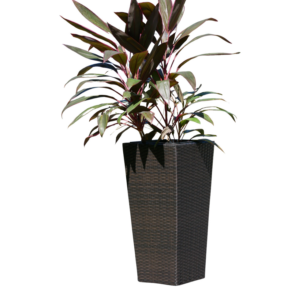 Conical Wicker Planter
