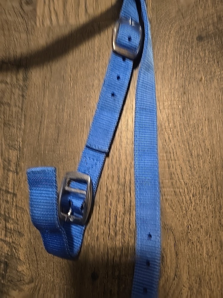 western headstall
