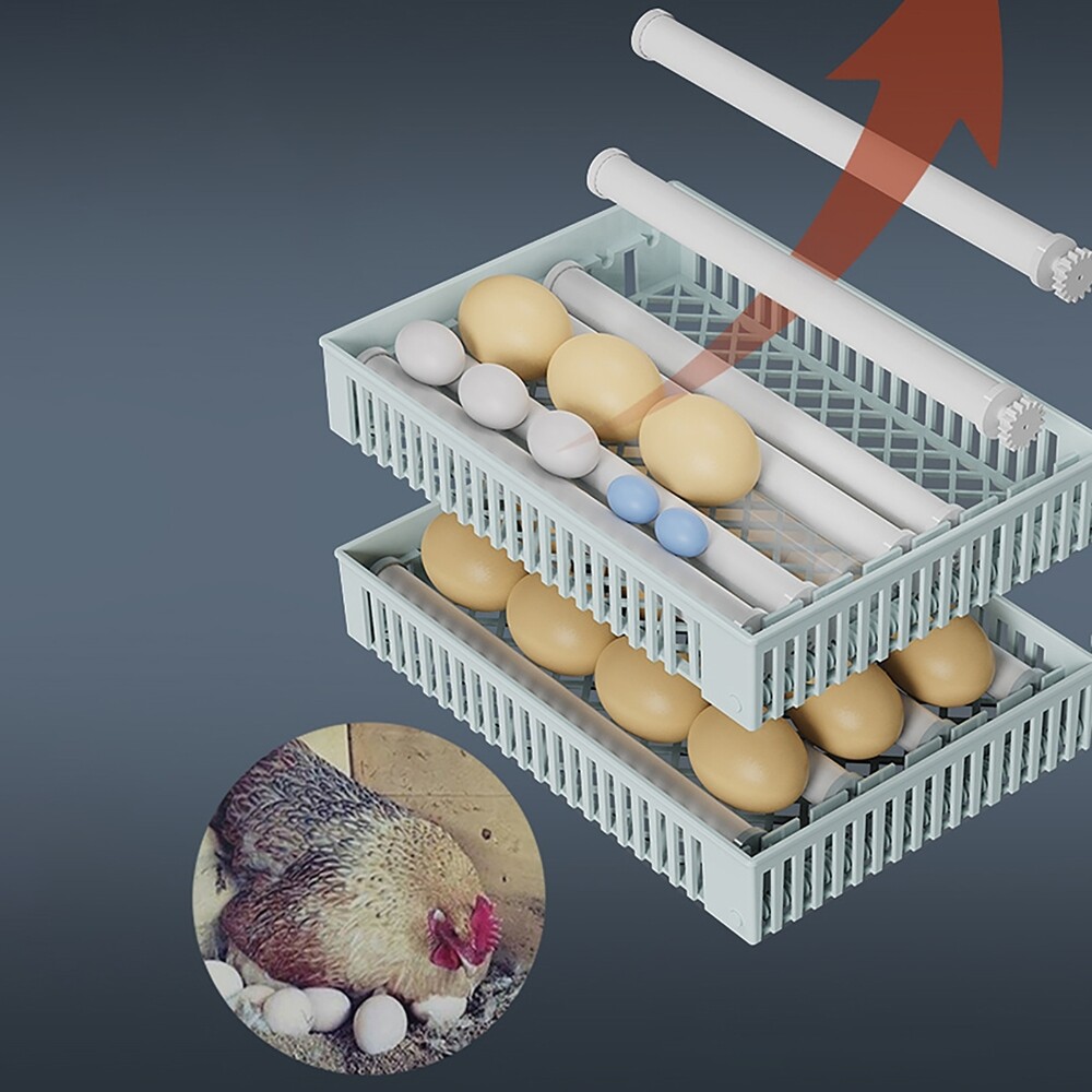 24 Eggs Incubator Machine Automatic Egg Hatcher for Chicken Quail Pigeon Duck