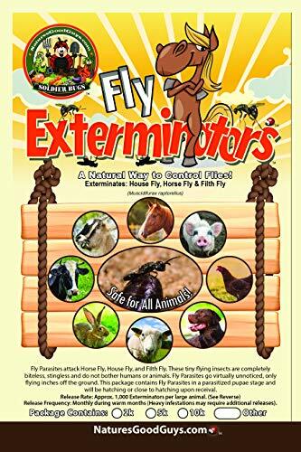 NaturesGoodGuys Fly Exterminator 500 Size