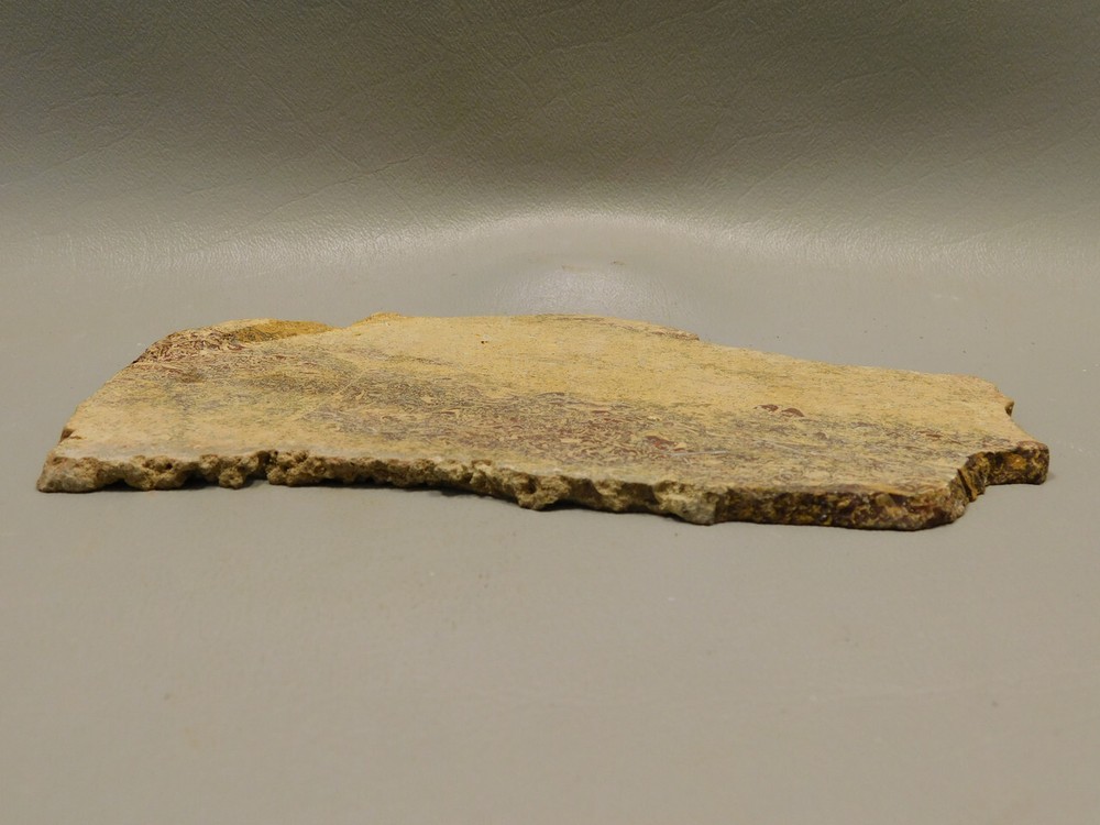 Coquina Jasper Lapidary Rough Rock Script Stone Slab Cabbing #O1