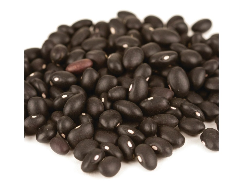 Black Turtle Bean Beans 5 Pounds Free Shipping