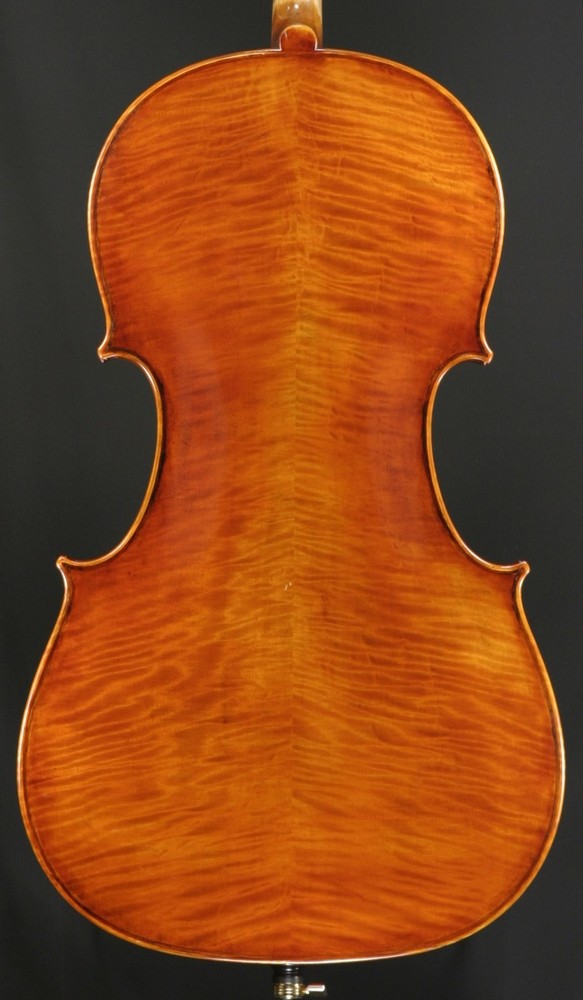 Snow SC400 Cello Outfit