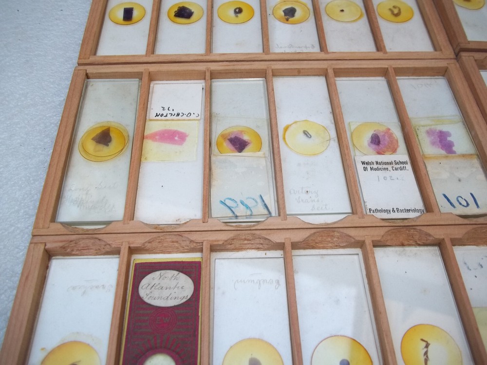 Vintage Glass Microscope Slides