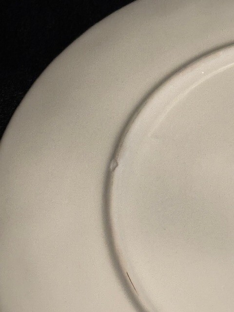 Pier 1 Grateful Harvest Pumpkin Plate