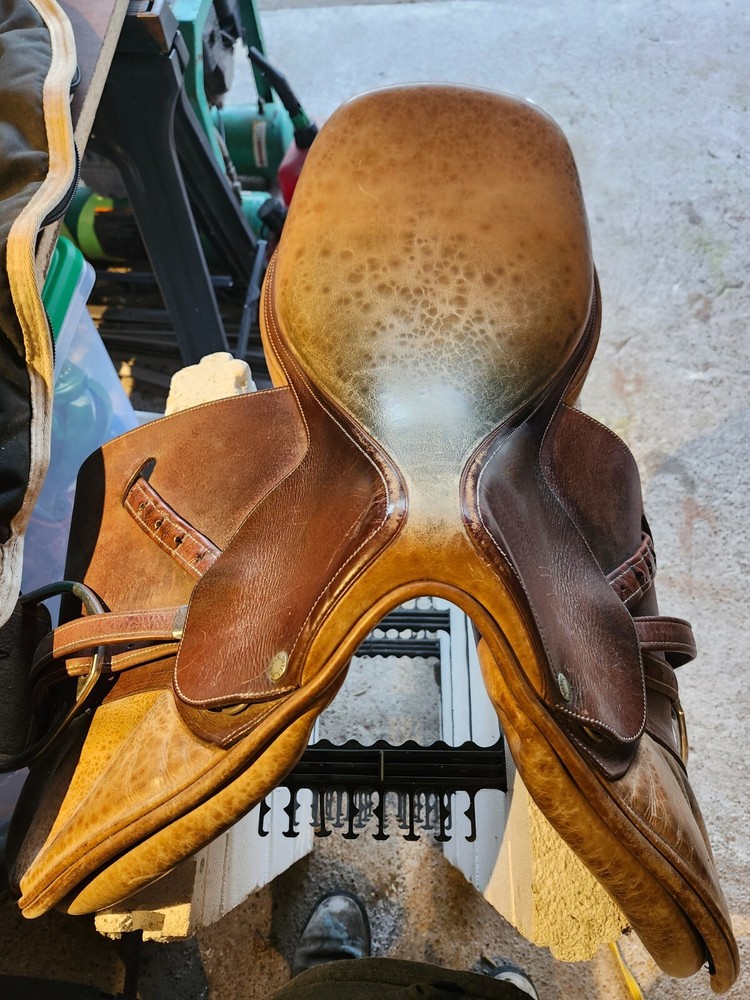 Butet English Riding Saddle