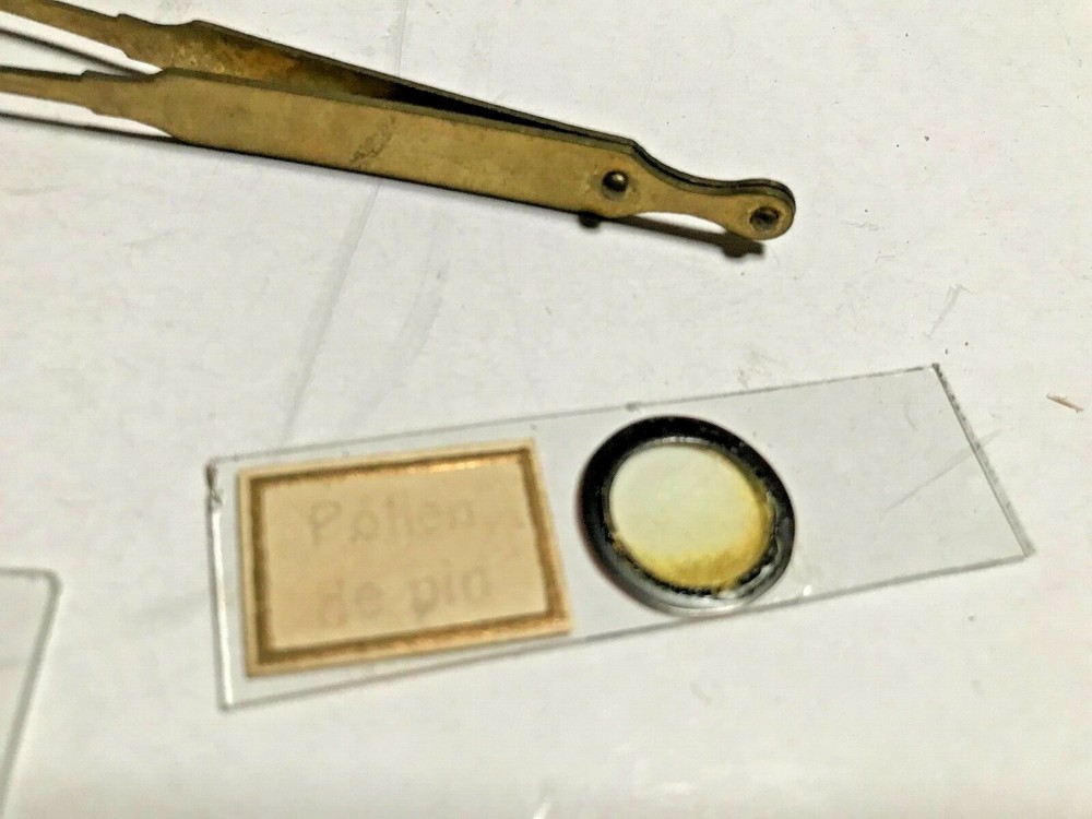 Antique Brass Pocket Microscope In Original Box