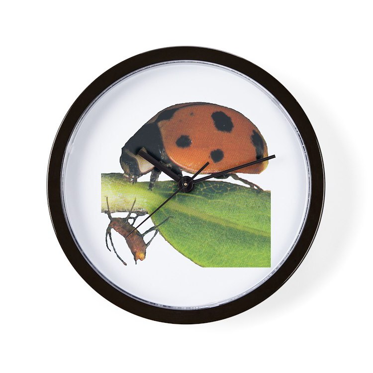 CafePress Ladybug And Aphid 10" Wall Clock (207562583)