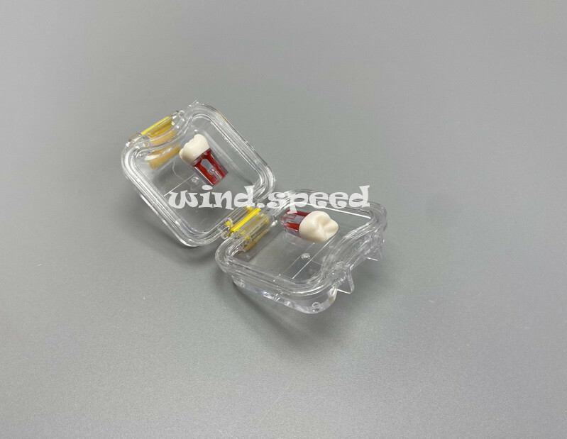 1x Dental Denture Protector Storage Box Retainer False Teeth Case Container Film