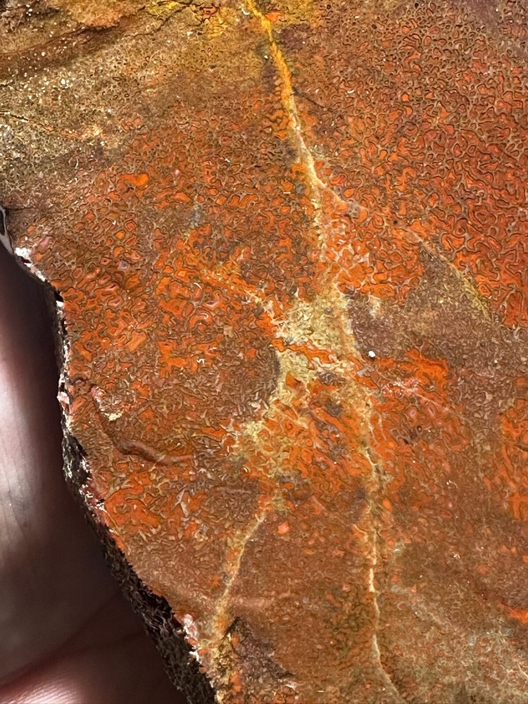 Dinosaur bone rough **hxtled large slab.