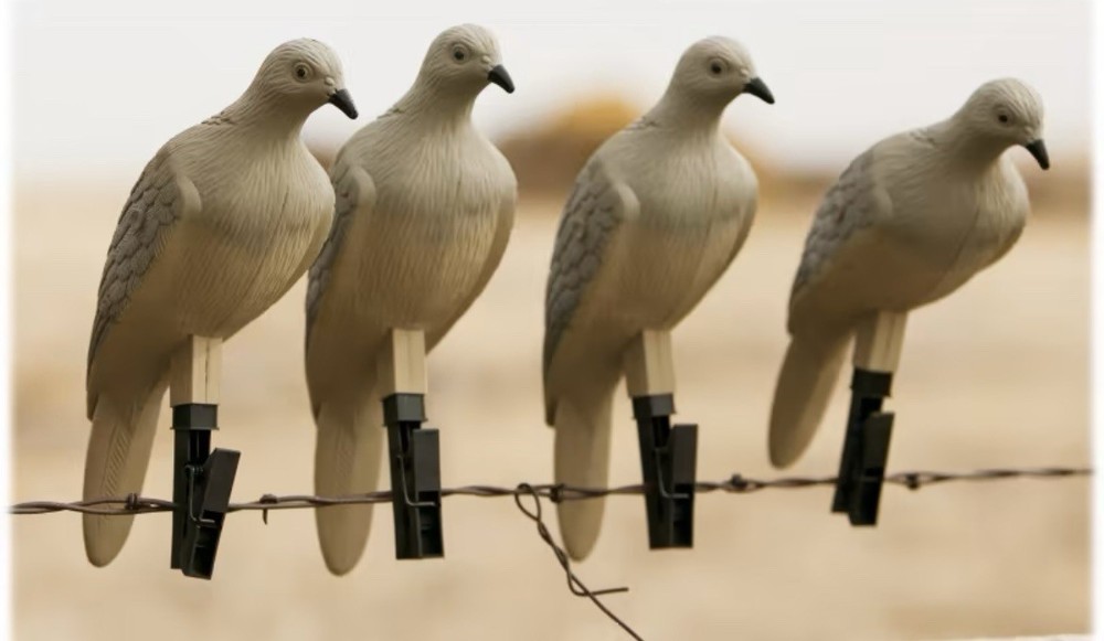 MOJO Outdoors Clip on Dove Decoy - 4 Pack
