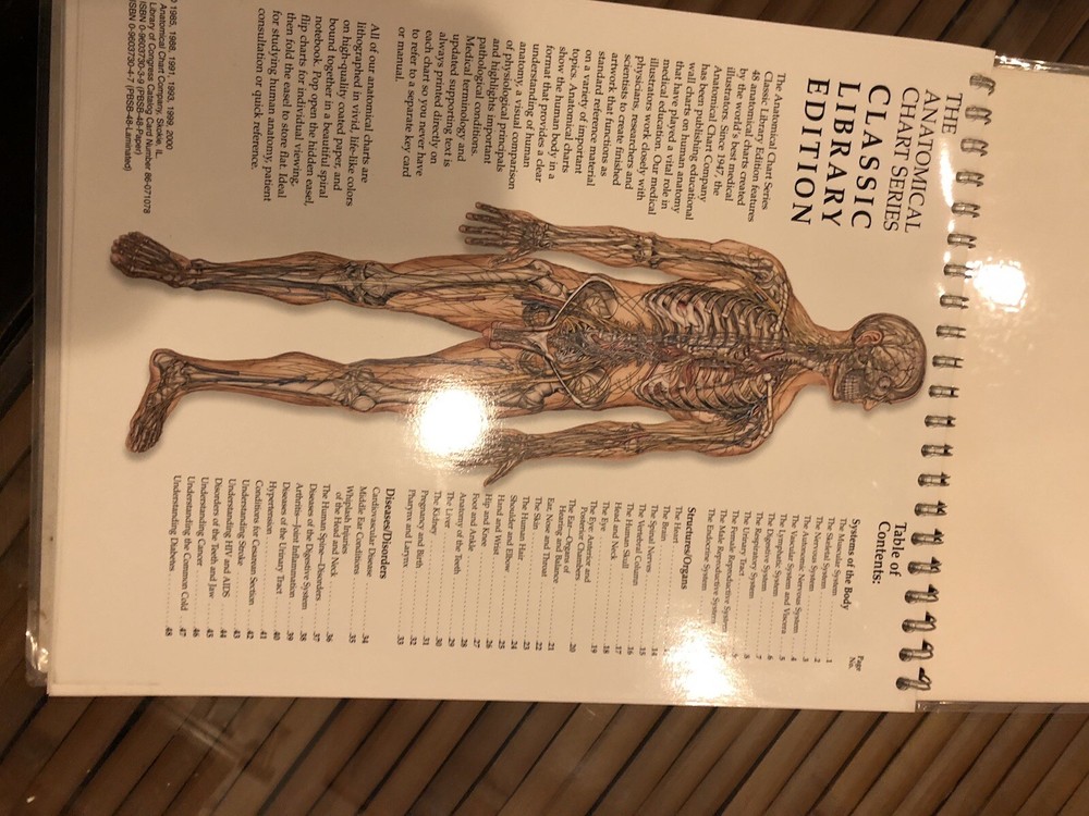 anatomical charts