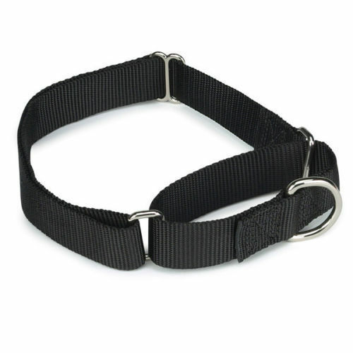 Martingale Dog Collars Adjustable Nylon Choke No Pull Training Pick Color & Size