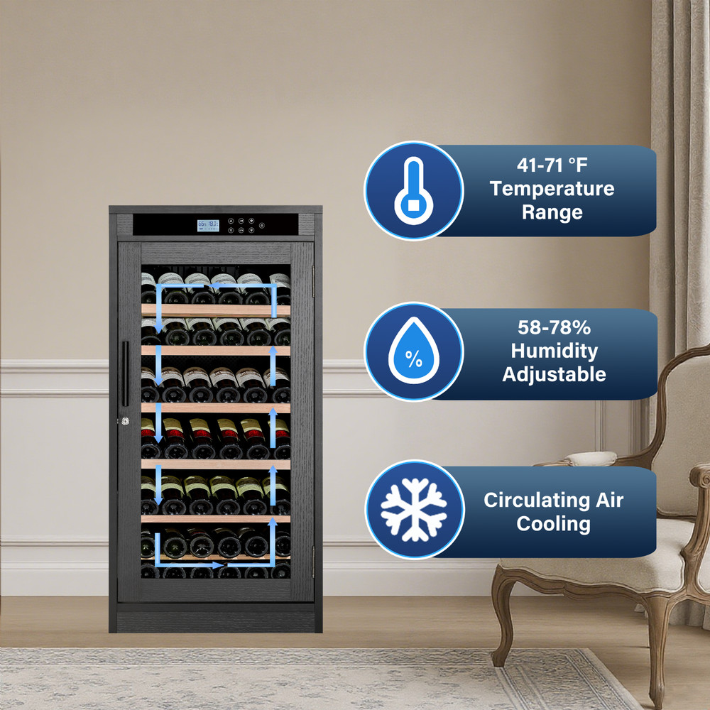 69 Bottles Touch Screen Display Constant Temperature Grape Wine Cooler,Black