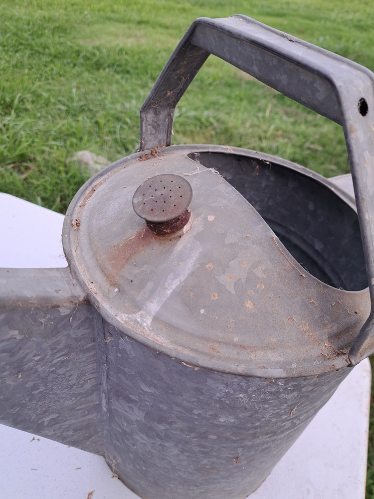 Vintage Galvanized Water Can No. 12 Rustic Weathered Garden Decor