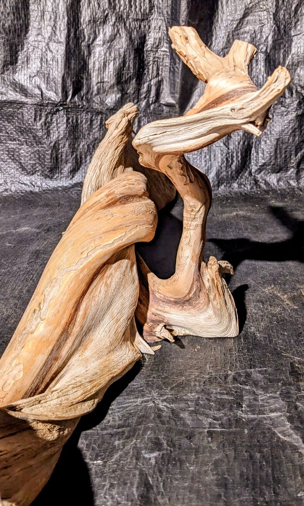 Twisted juniper Branch Aquarium Piece