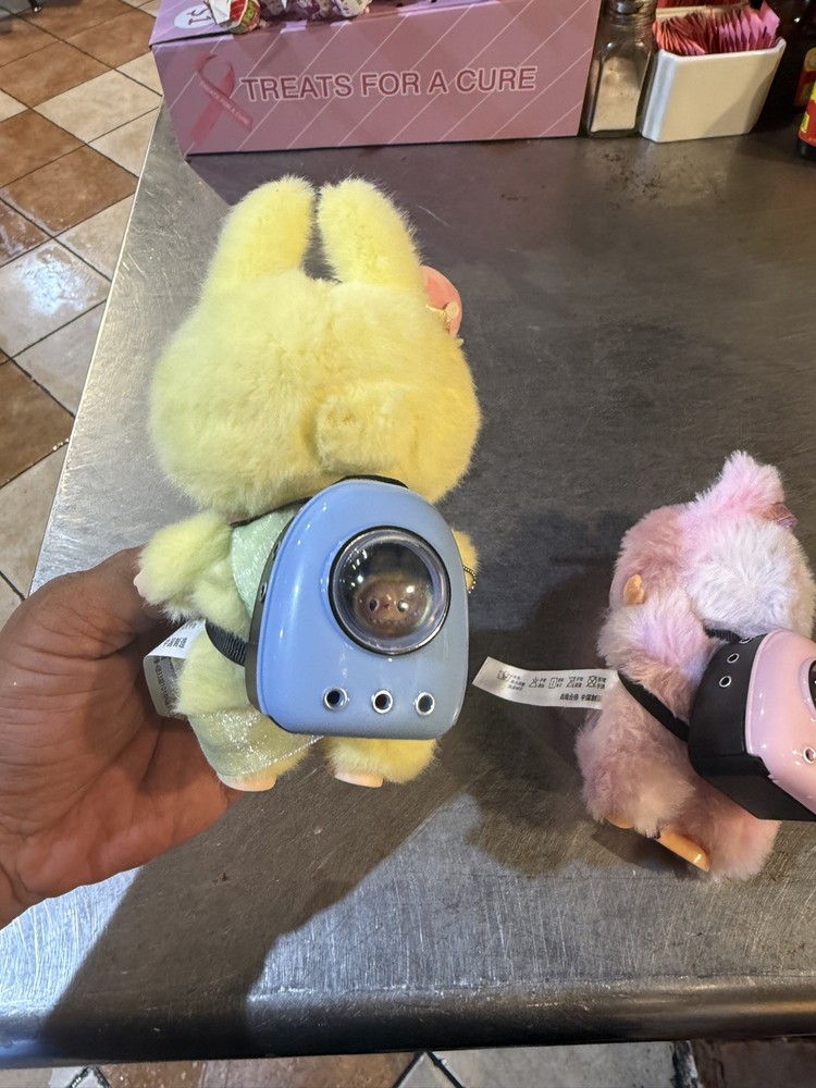 Labubu backpack and a mini figure inside