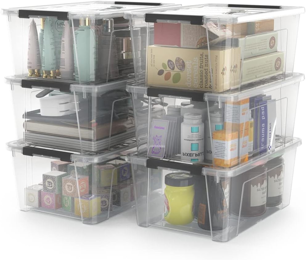 WYT Clear Storage Latch Bins, 6-Pack Organizer Box with Handle