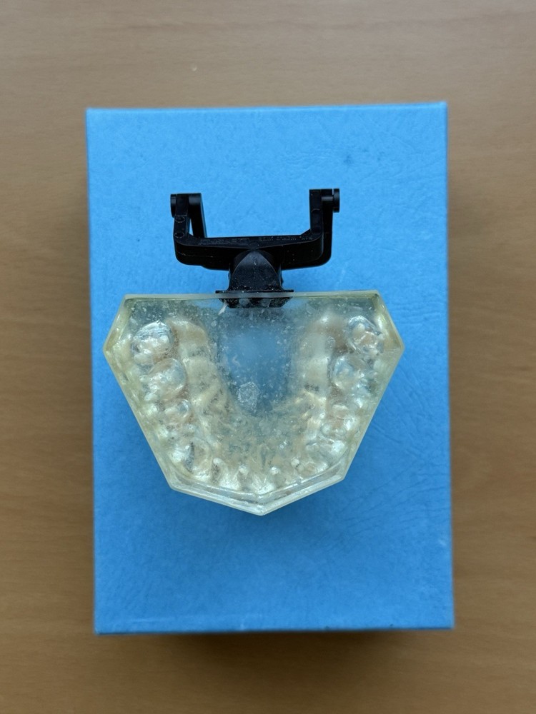 Viade Clear Teeth with Hinge Model - #2072