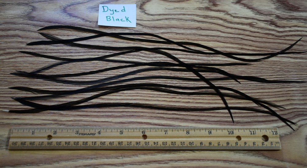Full Set Sized DYED BLACK Dry Fly Rooster Saddle Feathers Fly Tying