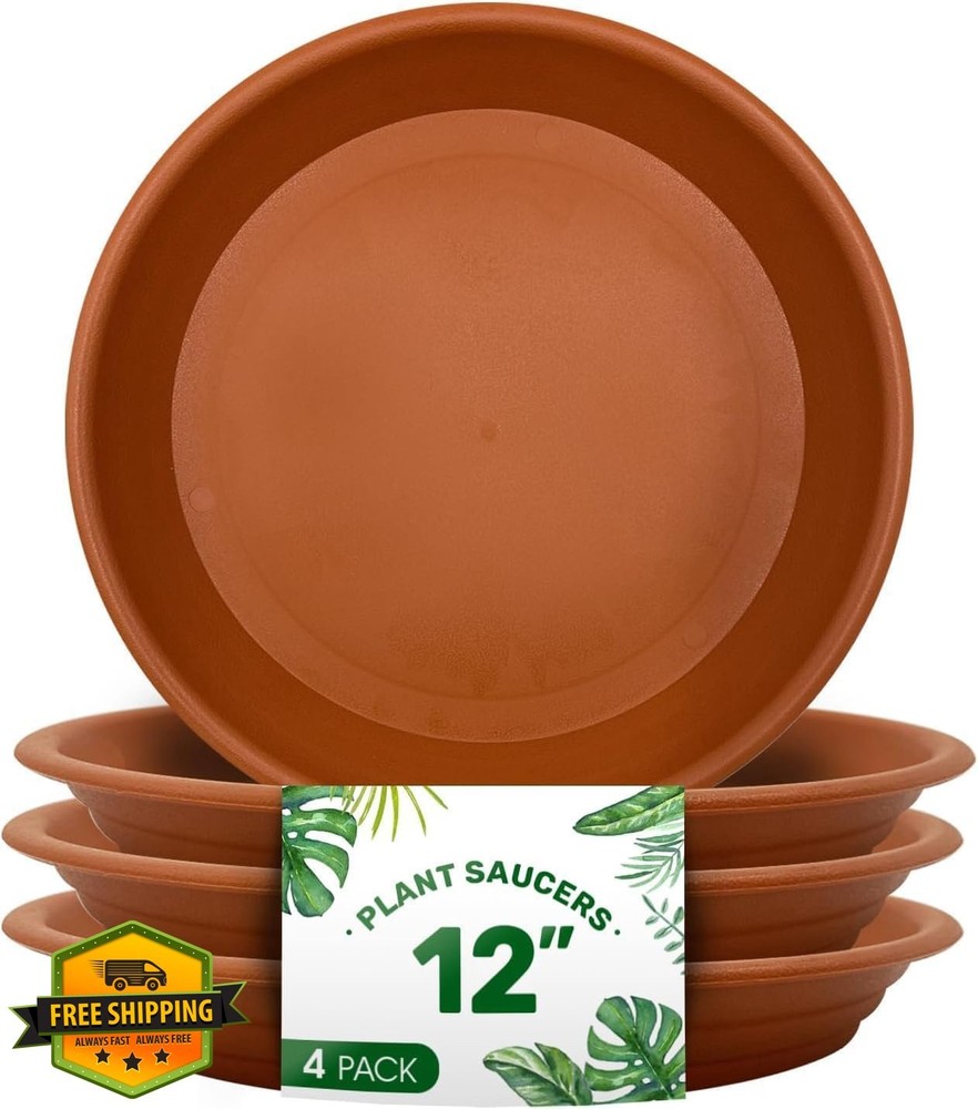HenHaven Saucers