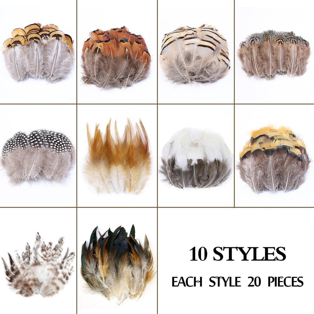 200pcs 10 Style Natural Feathers Assorted Mixed 10 Styles - 200 Pcs