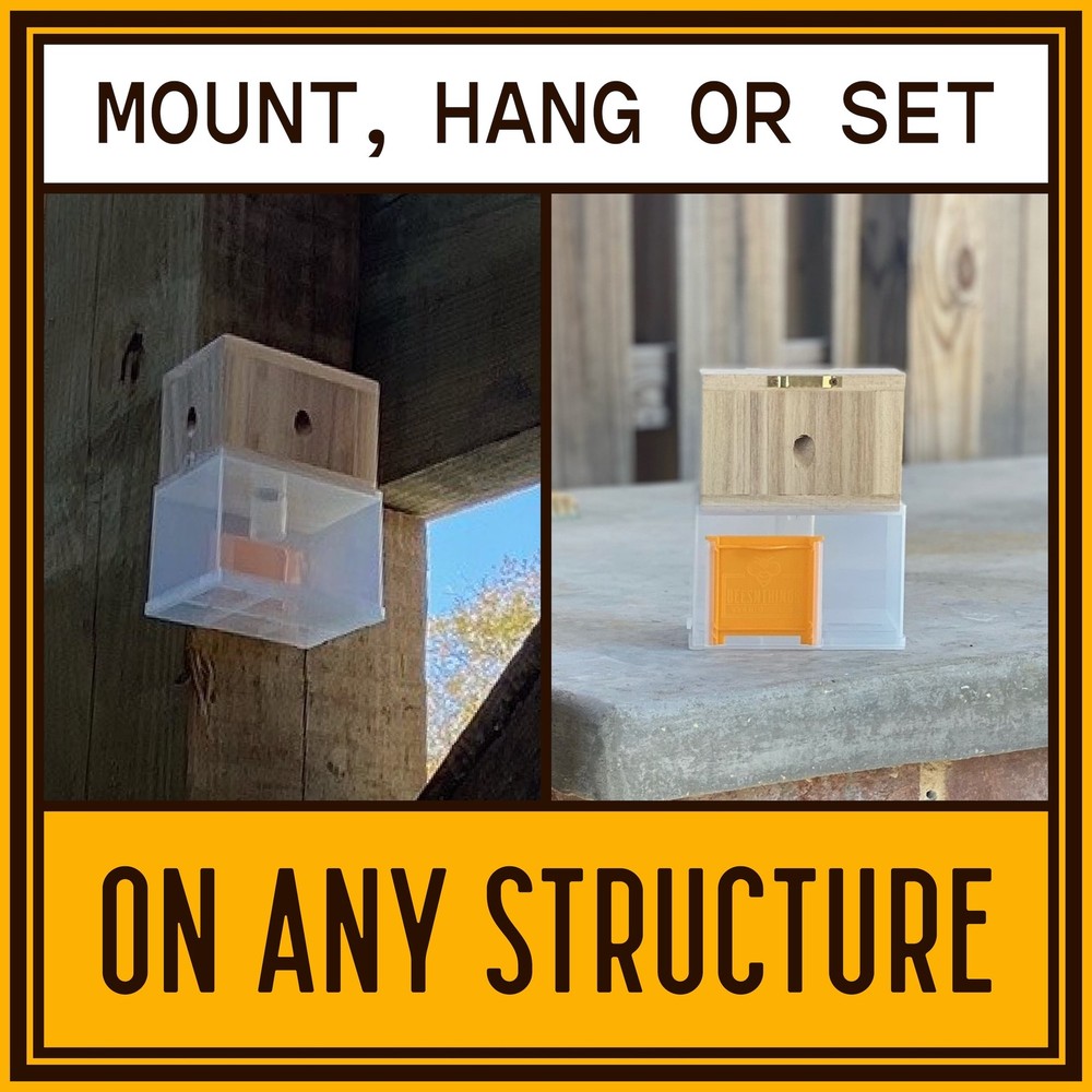 Outdoor Carpenter Bee Trap