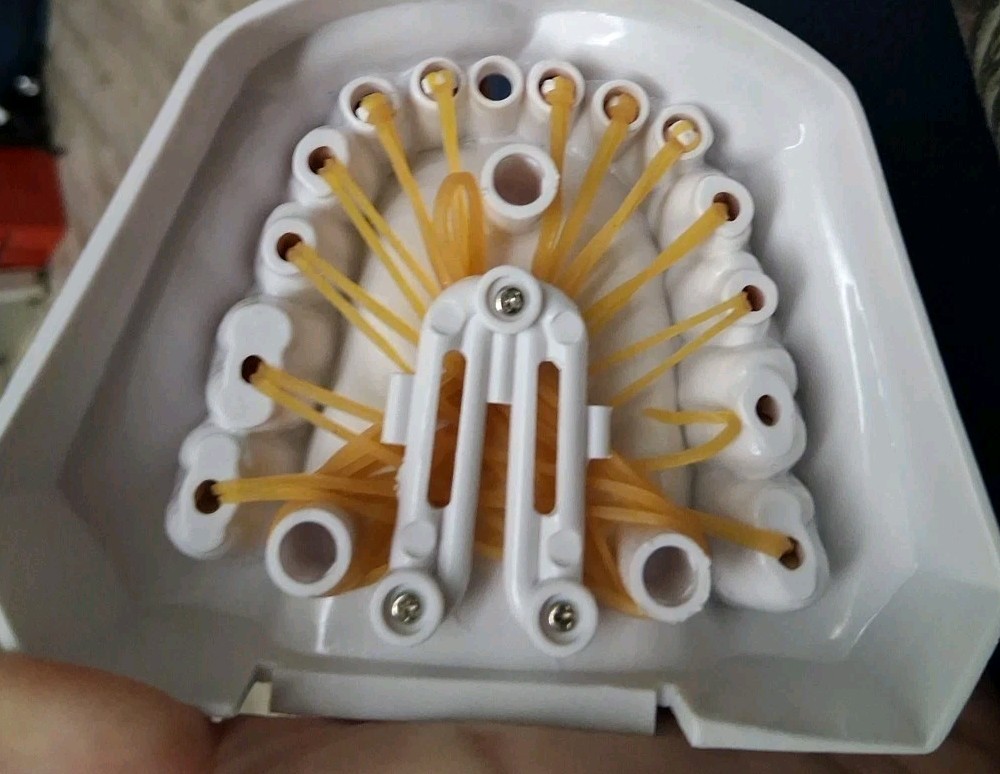 Bottom Teeth Model With Removable Teeth One Missing