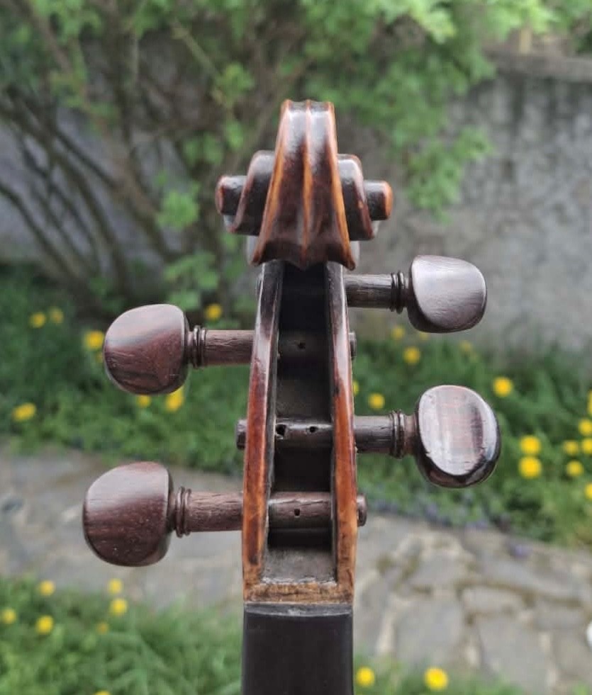 Violin 4/4 C. G. Schetelig