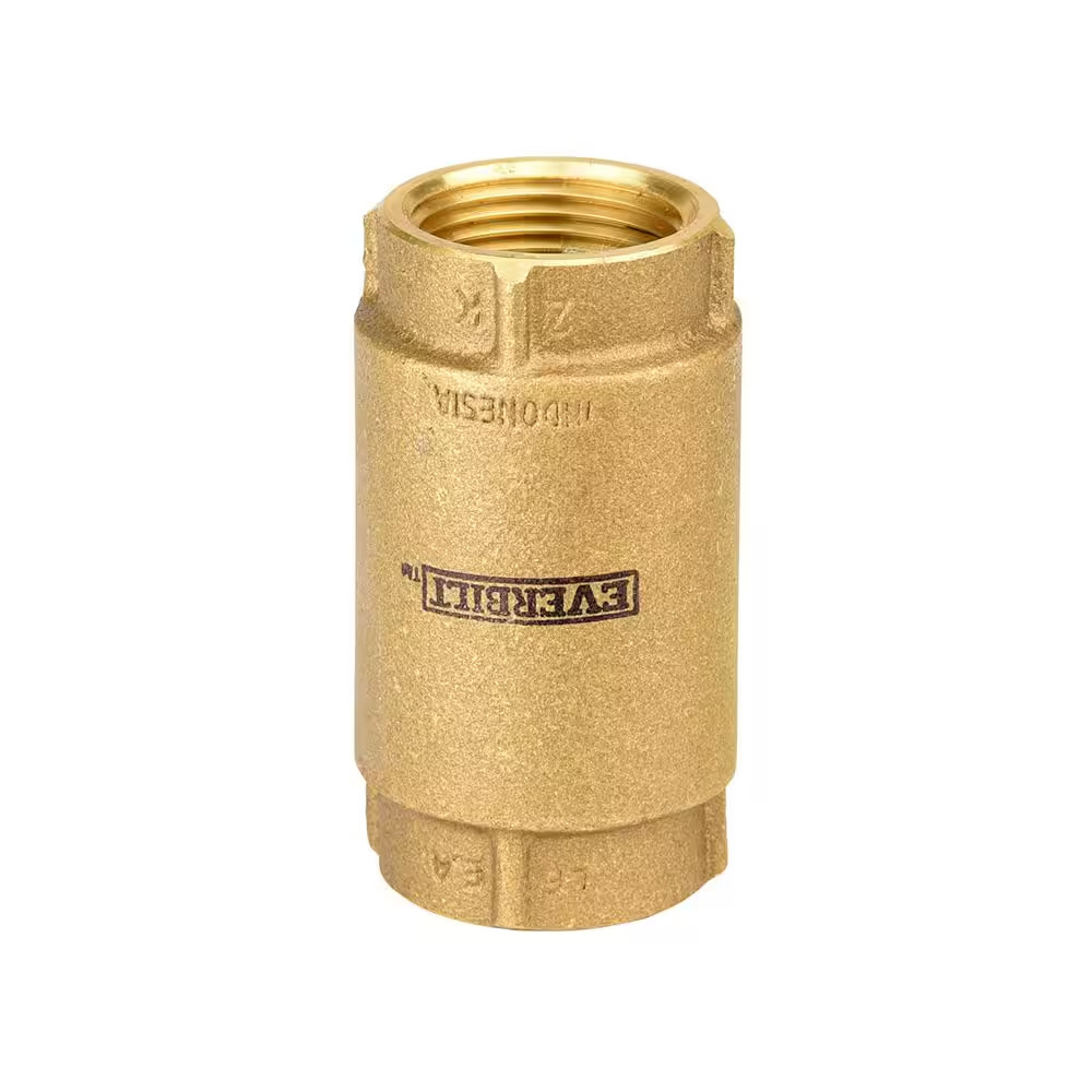 1 In. Brass Check Valve