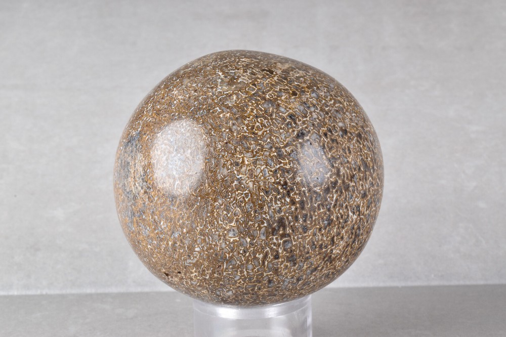 Dinosaur Bone Sphere from Morocco 6.8 cm # 21482