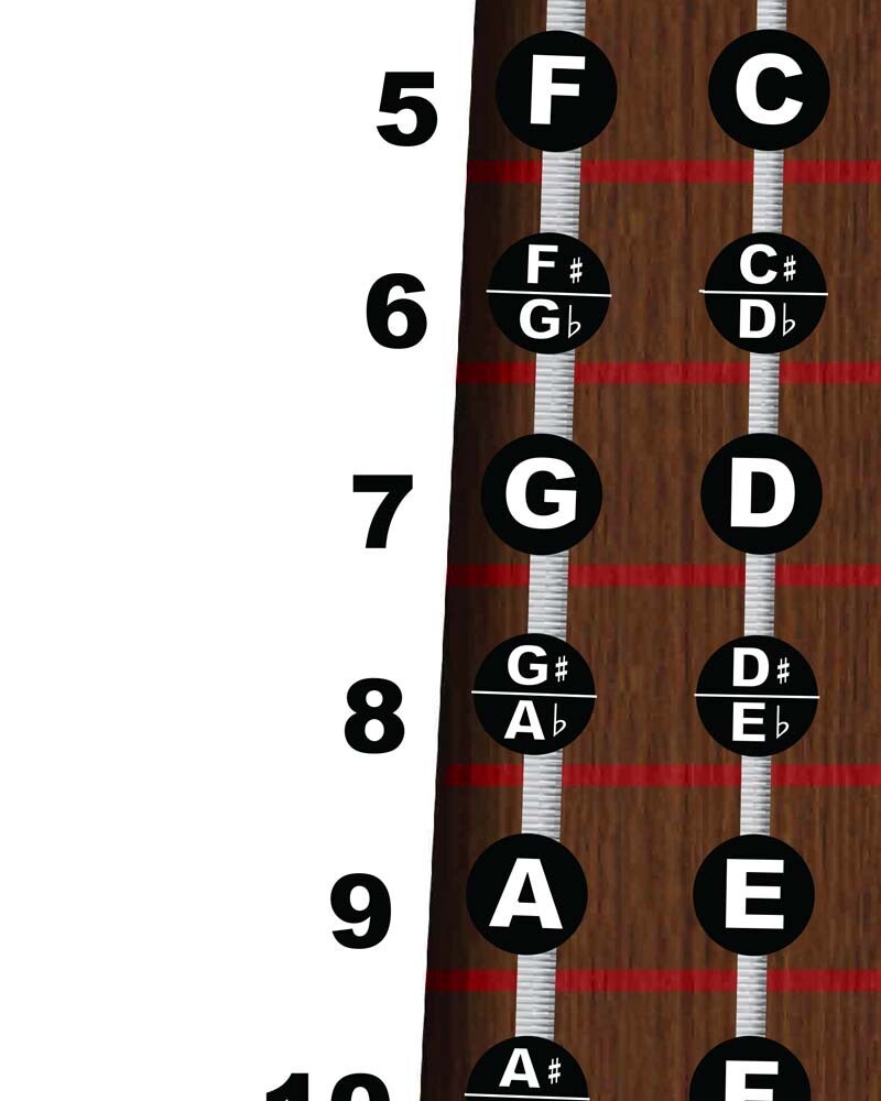 Cello Fingerboard Notes Instructional Poster Beginner Wall Chart Theory