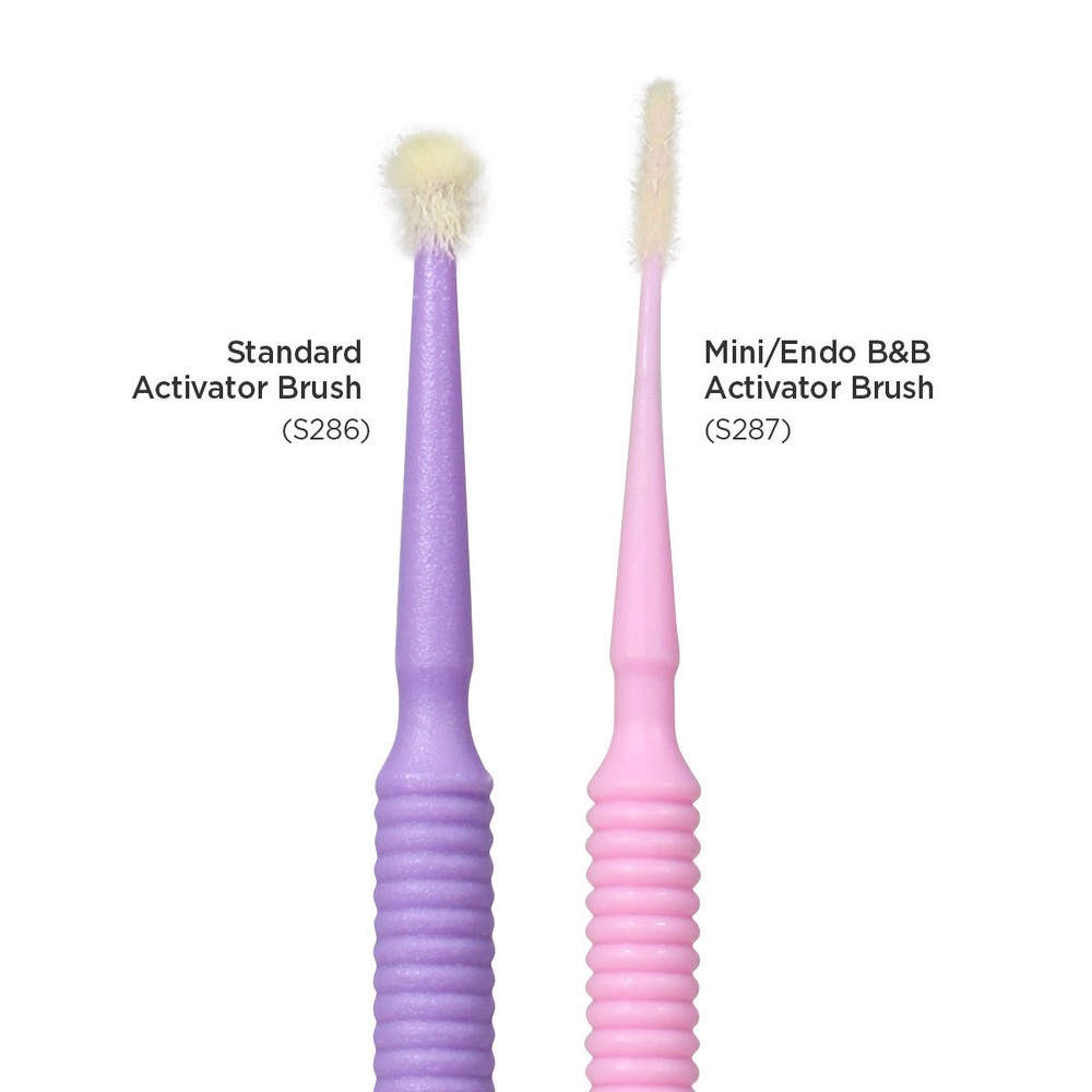 Parkell Brush&Bond Activator Brushes Standard S286 or Mini/Endo S287