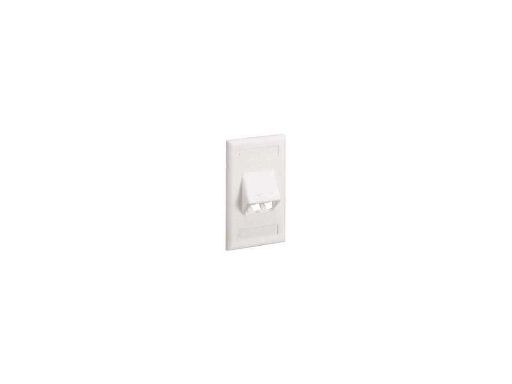PANDUIT 2-Socket Faceplate
