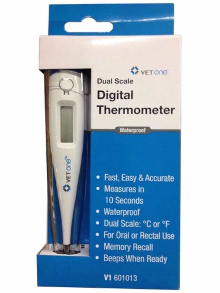 AmerisourceBergen Dual Scale Digital Thermometer - 10 Second Read